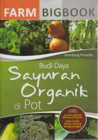 Budi Daya Sayuran Organik Di Pot