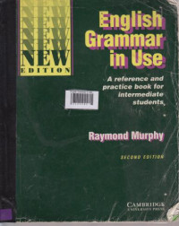 English Grammar In Use