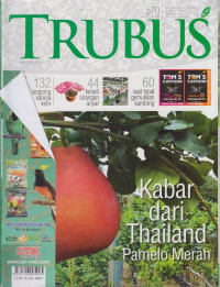 Trubus : Kabar Dari Thailand Pamelo Merah