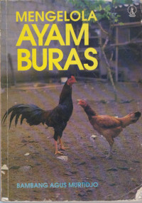 Mengelola Ayam Buras