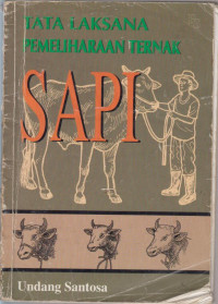 Tatalaksana Pemeliharaan Sapi