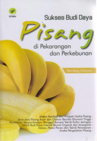 Sukses Budidaya Pisang Di Pekarangan Dan Perkebunan