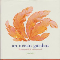 An Ocean Garden : The Secret Life Of Seaweed