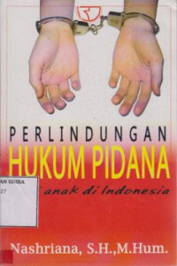 Perlindungan Hukum Pidana Bagi Anak Di Indonesia